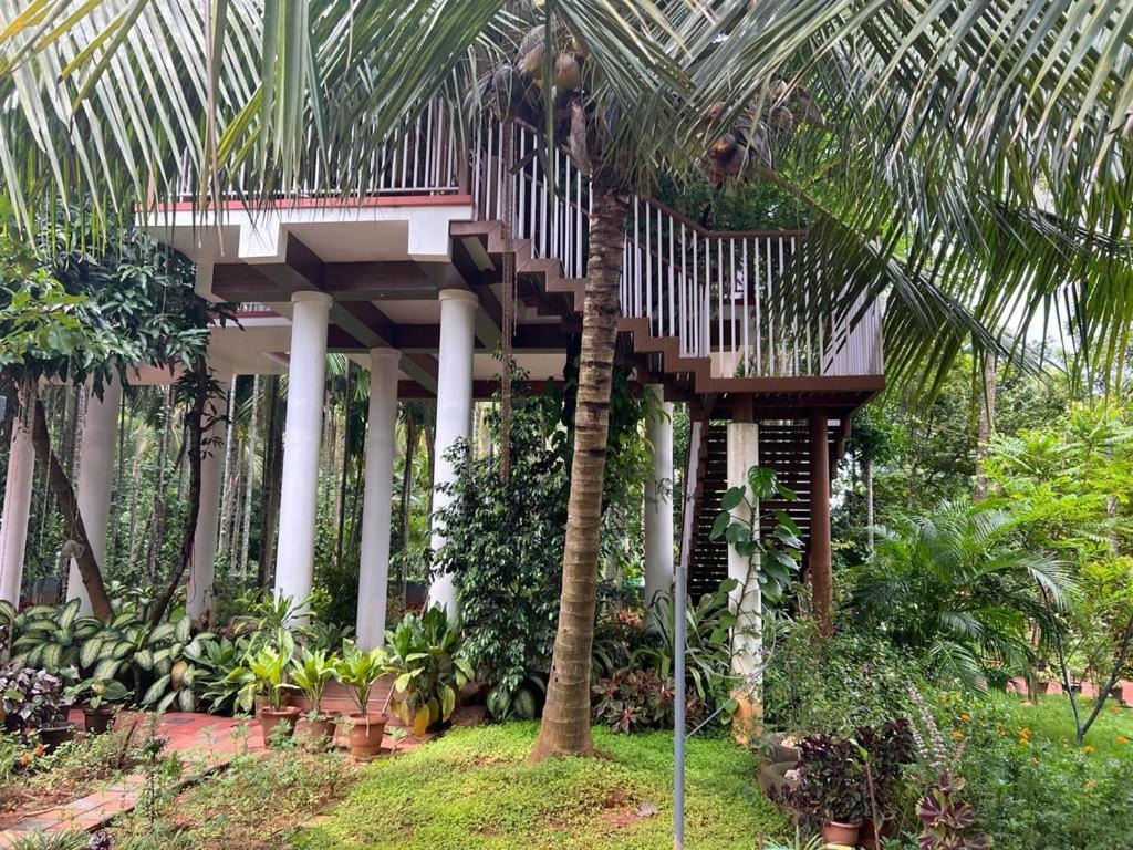 Serenity Villa And Treehouse Palakkad Extérieur photo