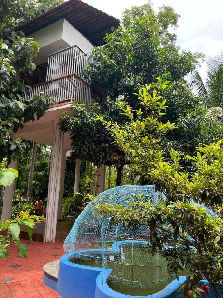 Serenity Villa And Treehouse Palakkad Extérieur photo